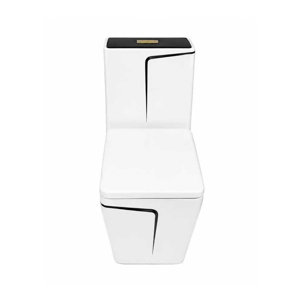 WC Monobloc Frencia 2.webp