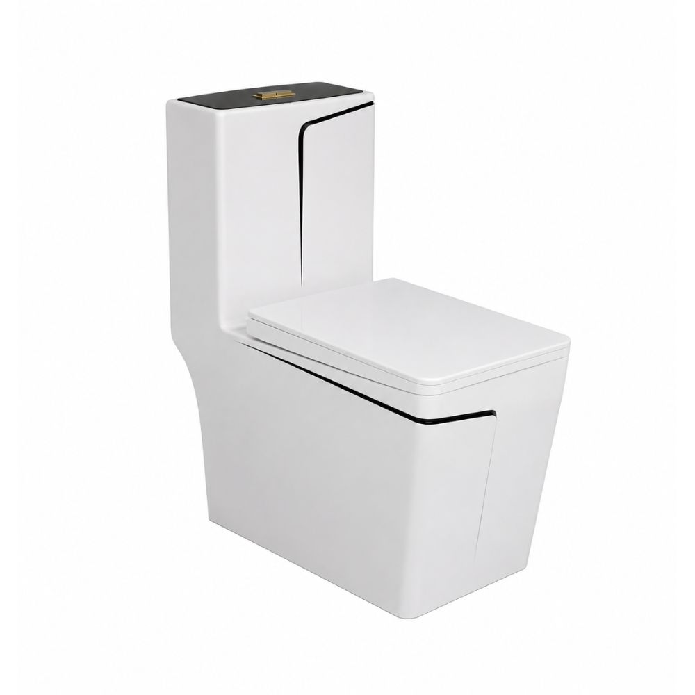 [3110122236] WC monobloc FRENCIA WC-793S blanc double chasse